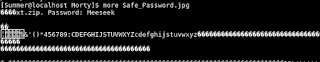 output of more Safe_Password.jpg