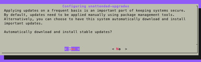 Enable unattended system upgrades with this command.